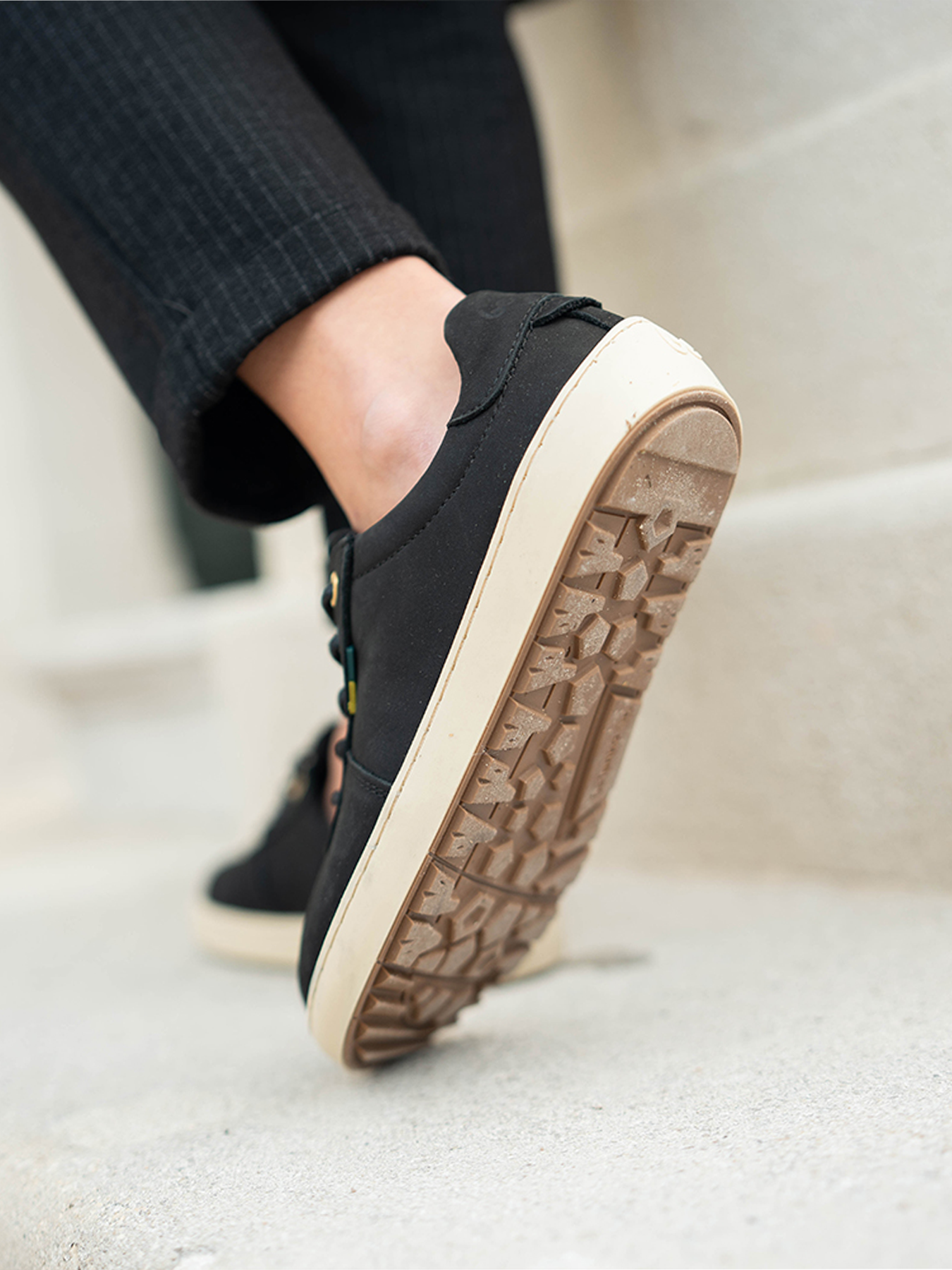 Pre-Order Be Lenka Phoenix - Black