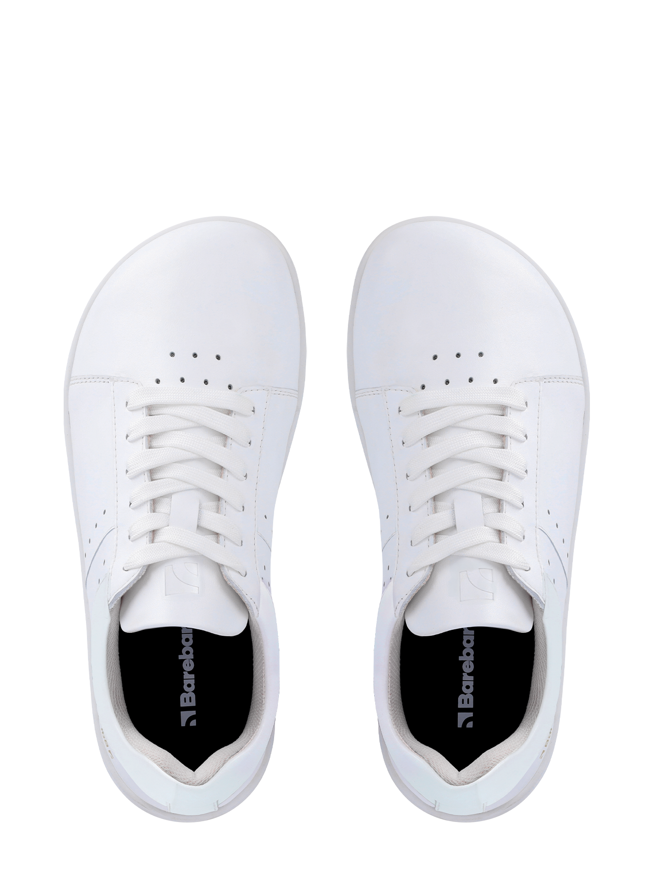 Pre-Order Barebarics Enigma - All White