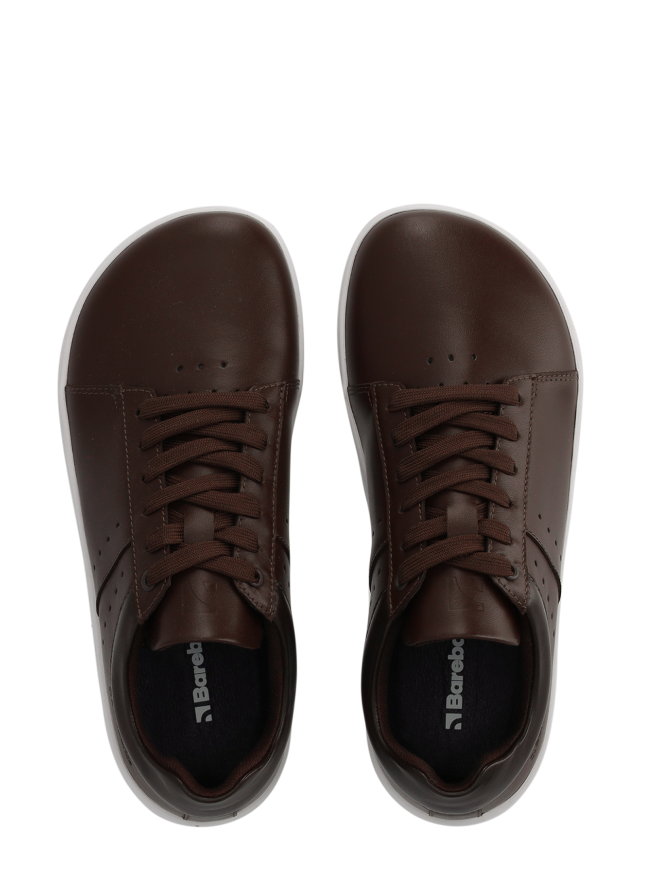 Pre-Order Barebarics Enigma - Dark Brown