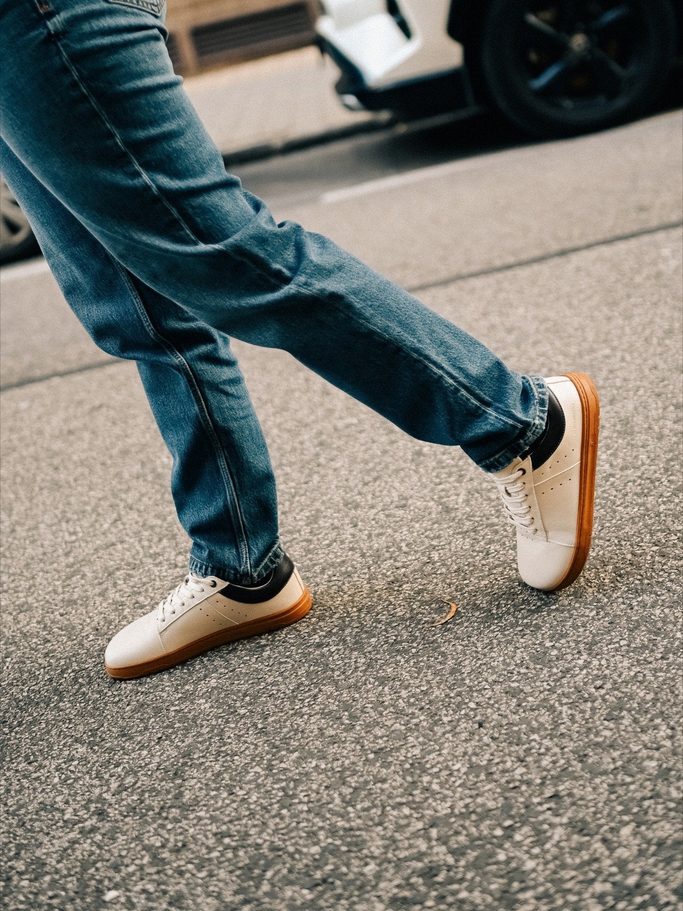 Pre-Order Barebarics Enigma - Ivory