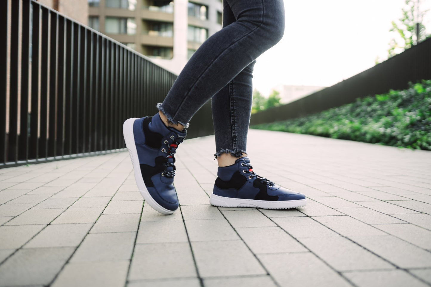 Pre Order Barebarics Lynx - Dark Blue & White